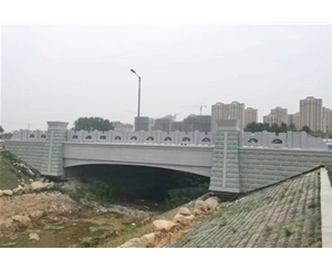 安徽界首桥梁 (2)