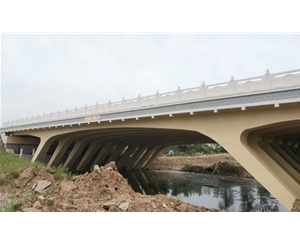 安徽界首桥梁 (3)